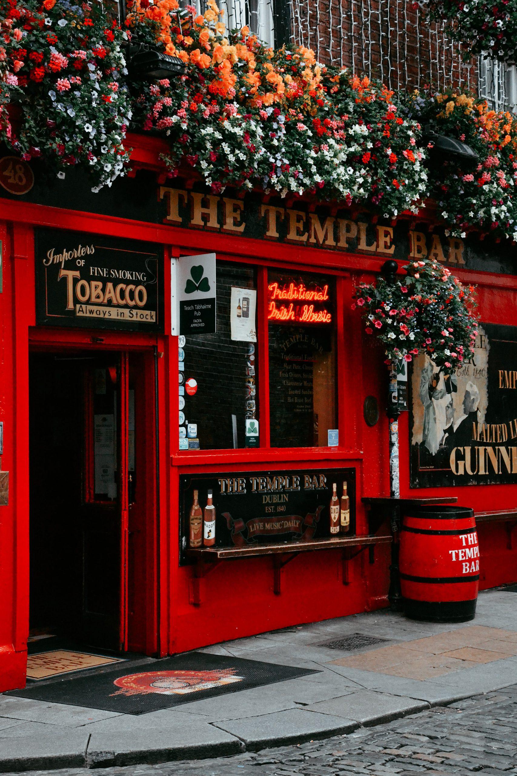 Fazer intercâmbio é…Poder visitar o Temple Bar