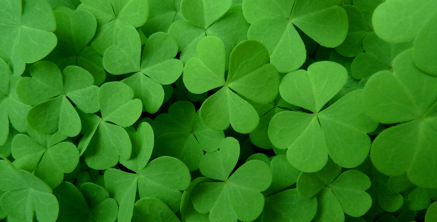 5 dicas para participar do St. Patrick’s Day