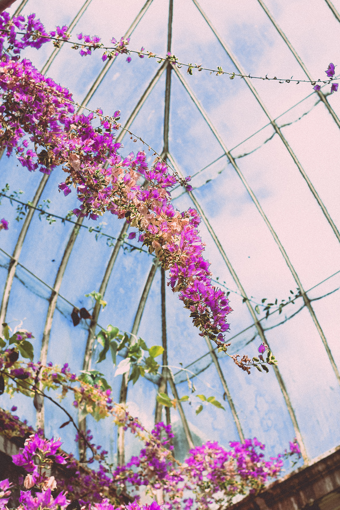 É PRIMAVERA NA IRLANDA